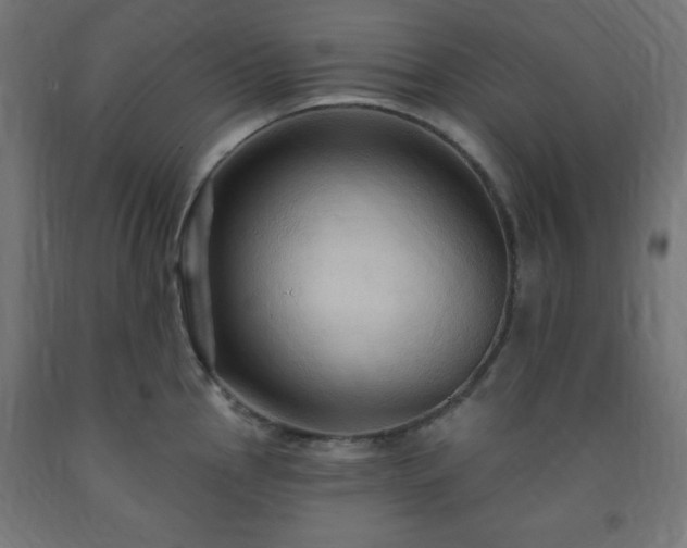 X0000093251145200710031558