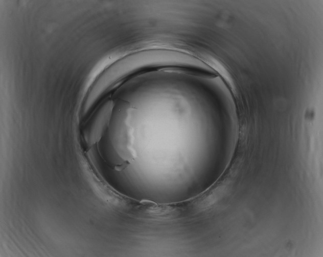 X0000093251146200710031558