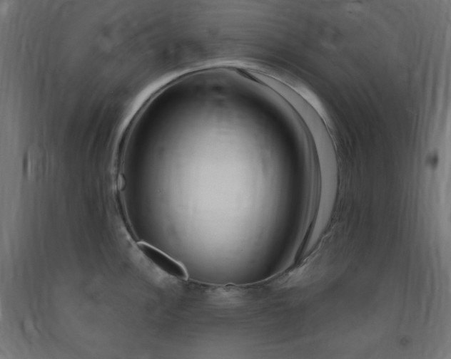 X0000093251148200710031558