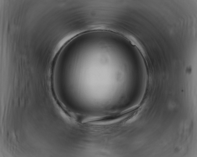 X0000093251149200710031558