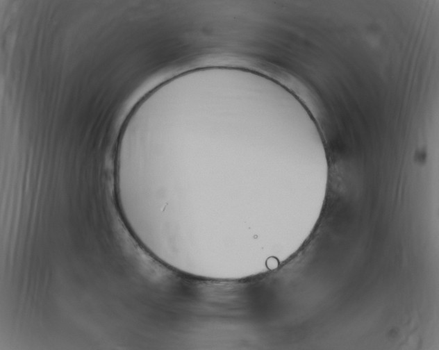 X0000093251150200710031558