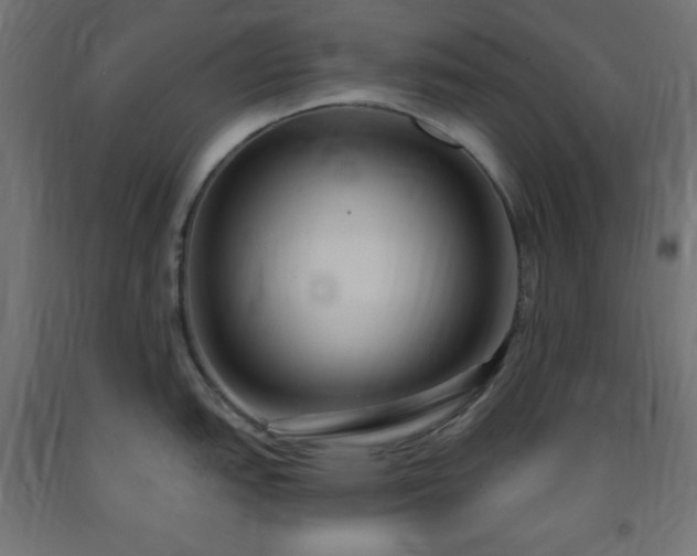 X0000093251151200710031558