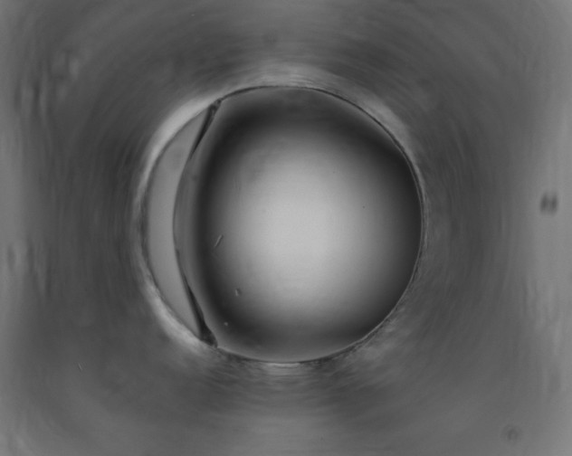 X0000093251152200710031558