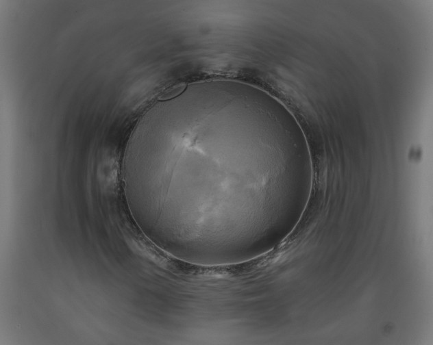 X0000093251154200710031557