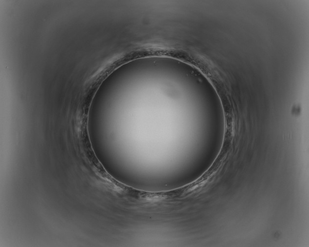 X0000093251157200710031557