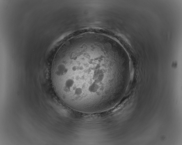 X0000093251159200710031557