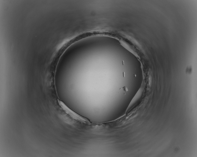 X0000093251160200710031557