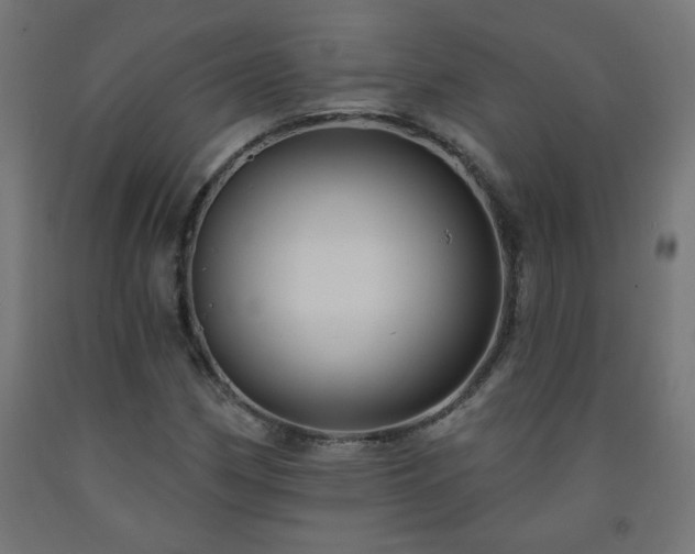 X0000093251162200710031557