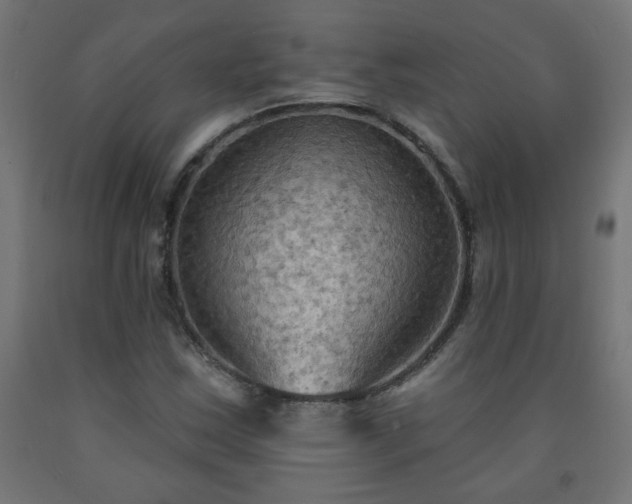 X0000093251163200710031557