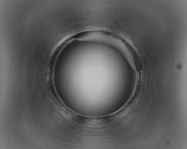 X0000093251165200710031557