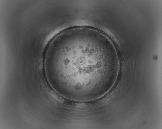 X0000093251167200710031557