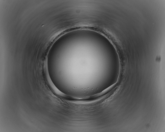 X0000093251169200710031557