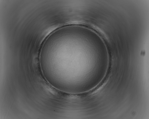 X0000093251170200710031557