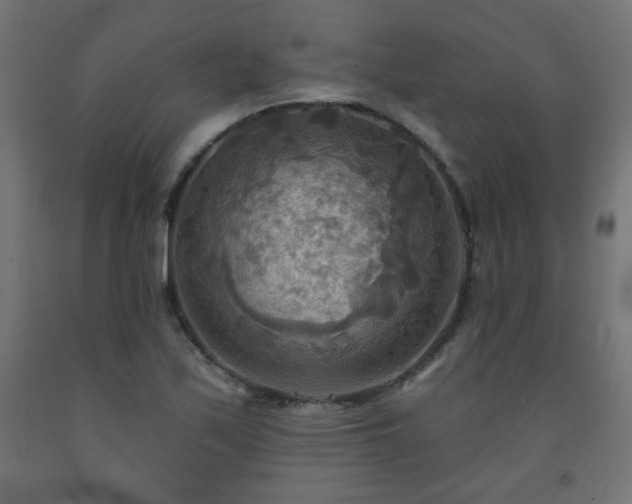 X0000093251171200710031557