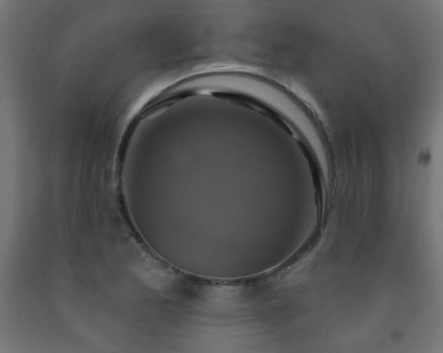 X0000093251173200710031557