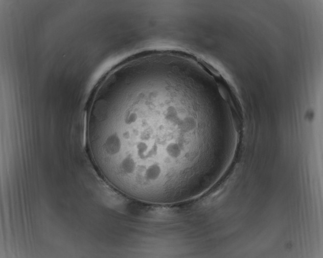 X0000093251175200710031557