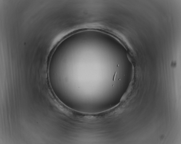 X0000093251176200710031557