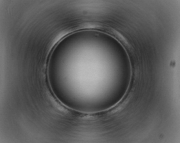 X0000093251178200710031557