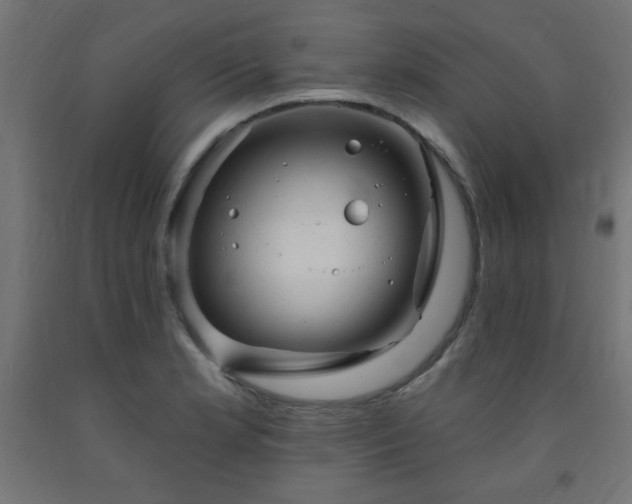 X0000093251181200710031557