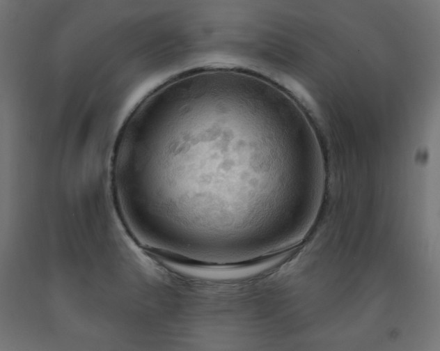 X0000093251183200710031557