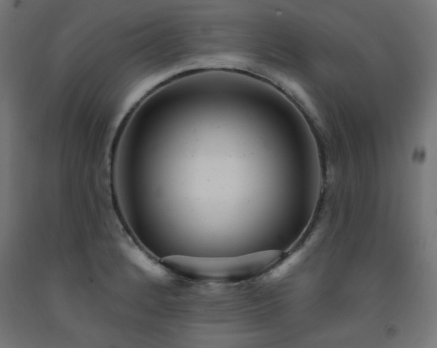 X0000093251184200710031557