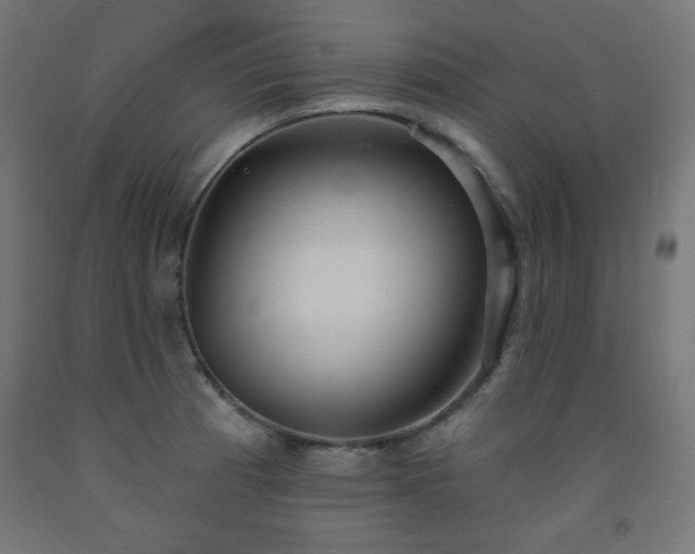 X0000093251185200710031557