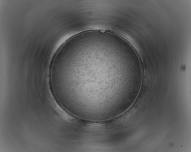 X0000093251187200710031556