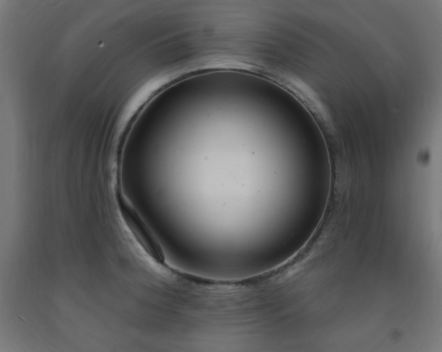 X0000093251188200710031556