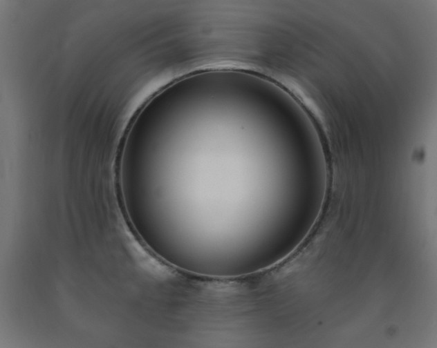 X0000093251189200710031556