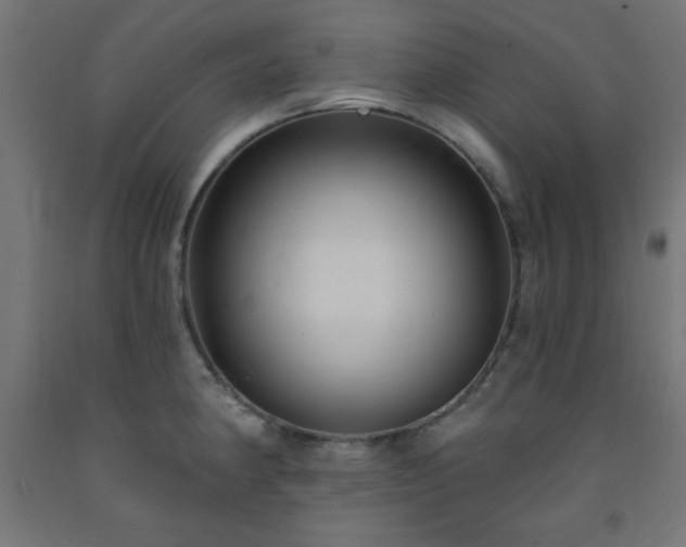 X0000093251190200710031556