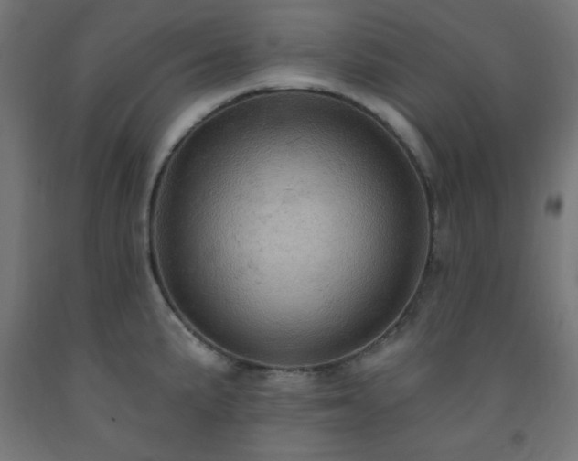 X0000093251191200710031556