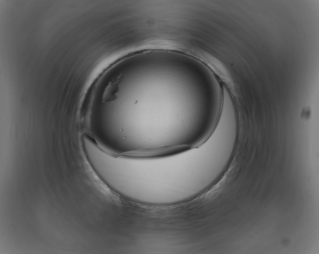 X0000093251192200710031556