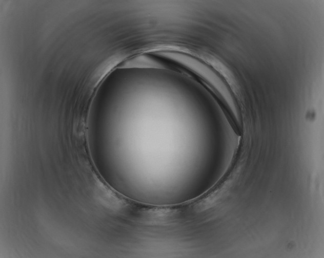 X0000093251193200710031556