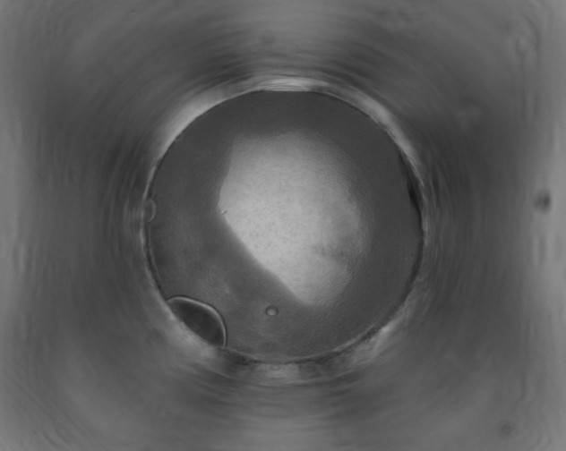 X0000093251194200710031556