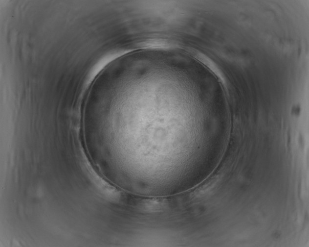 X0000093251195200710031556