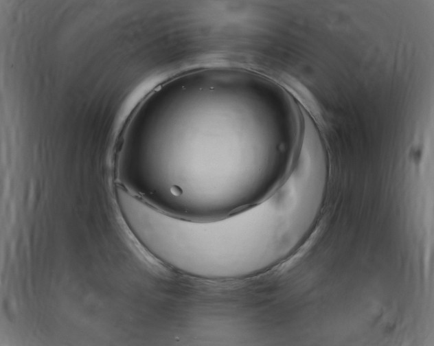 X0000093251196200710031556