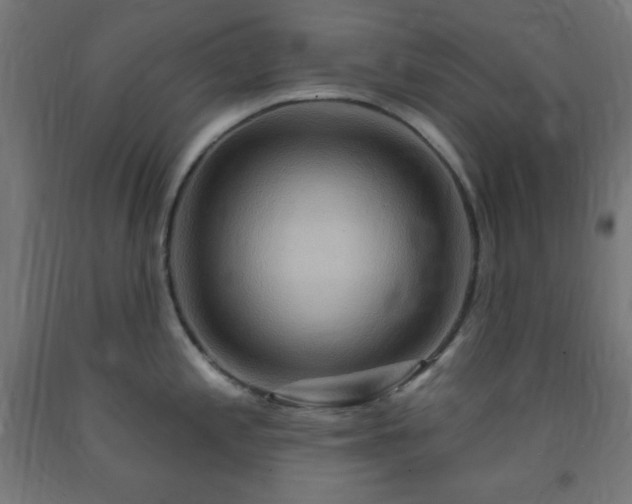 X0000093251197200710031556