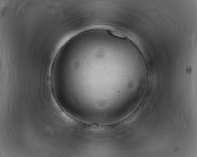 X0000093251199200710031556