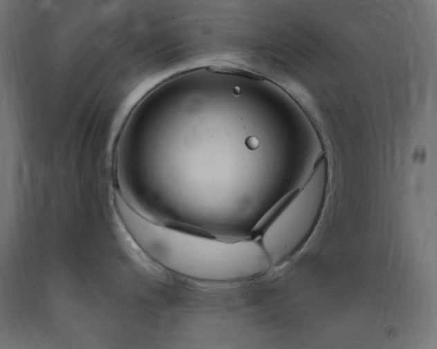 X0000093251200200710031556