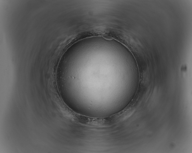 X0000093251201200710031556