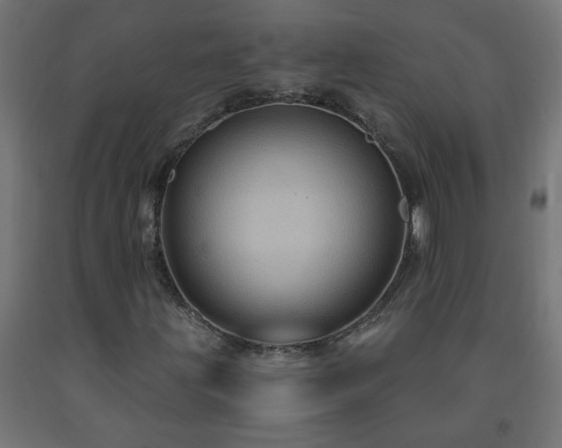 X0000093251203200710031556