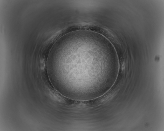 X0000093251204200710031556