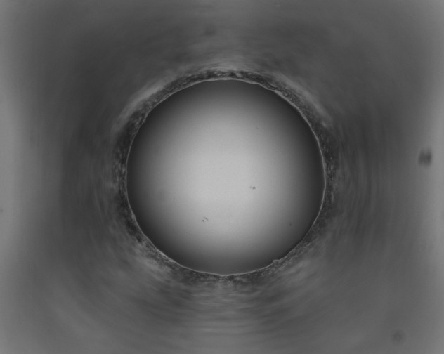 X0000093251207200710031556