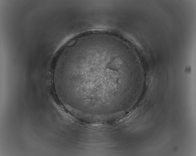 X0000093251208200710031556