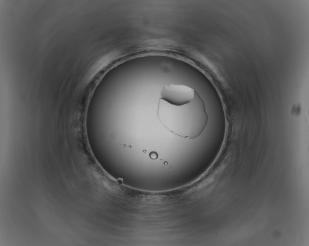 X0000093251211200710031556