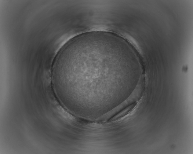 X0000093251212200710031556