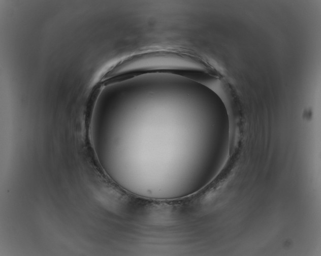 X0000093251214200710031556