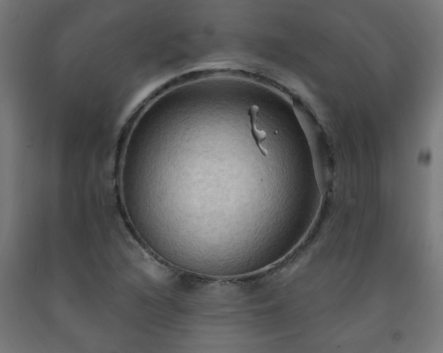 X0000093251216200710031556