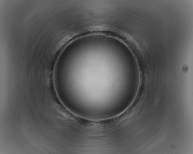 X0000093251217200710031556