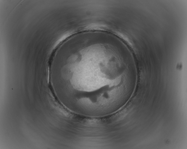 X0000093251219200710031556